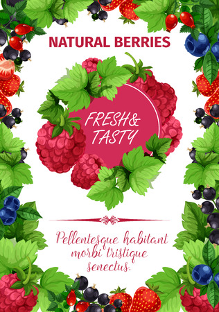 Vector poster of fresh garden berries.のイラスト素材
