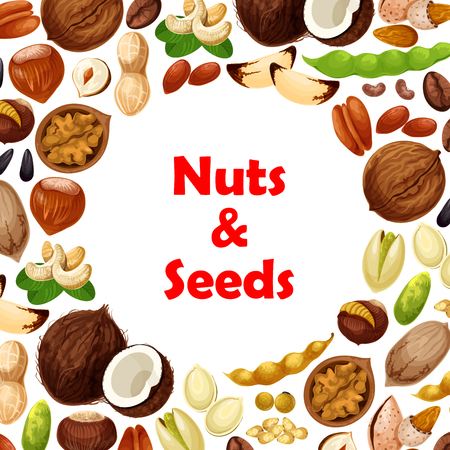 Vector poster of nuts and fruit seeds