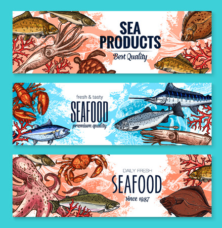 Vector sketch banners for seafood fish food marketのイラスト素材