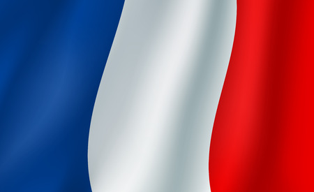 Vector 3D flag of France. French national symbolのイラスト素材