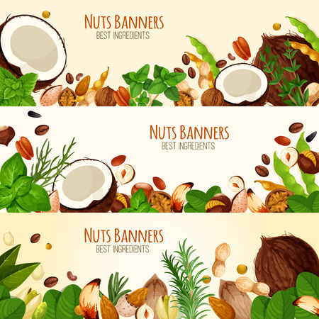 Vector banners of nuts and fruit seedsのイラスト素材