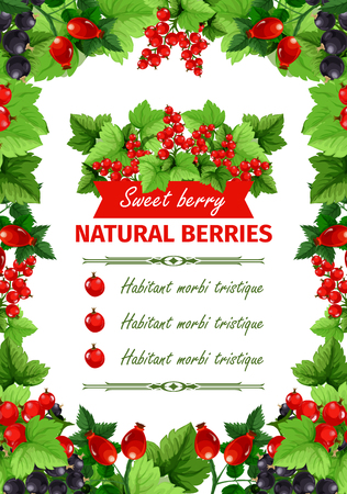 Berry, sweet fruit, natural food banner templateのイラスト素材