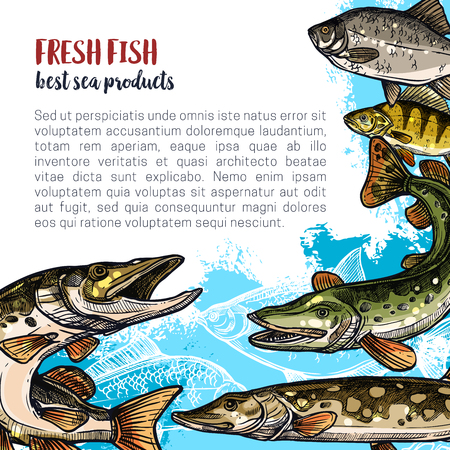 Fish animal sketch poster template designのイラスト素材