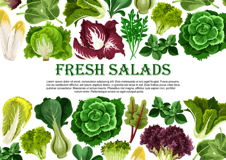 Salad leaf, vegetable greens banner border designのイラスト素材