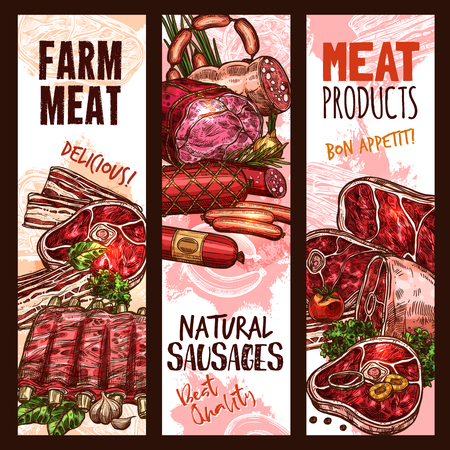 Vector banner sketch butchery shop meat productのイラスト素材