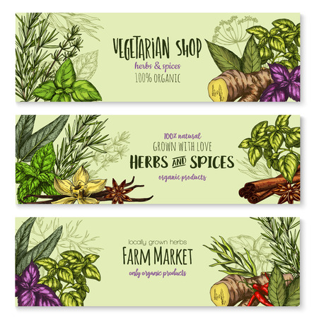 Herb, hot spice and condiment banners.のイラスト素材