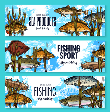 Vector Fishes Sketch Banners Fishing Sport Market Royalty Free