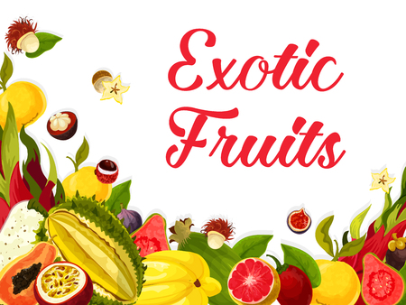 Exotic tropical fruits poster of guava, figs or orange and lichee, carambola starfruit or maracuya passion fruit. Vector tropic fruit harvest of and papaya and dragon fruit for market shopのイラスト素材