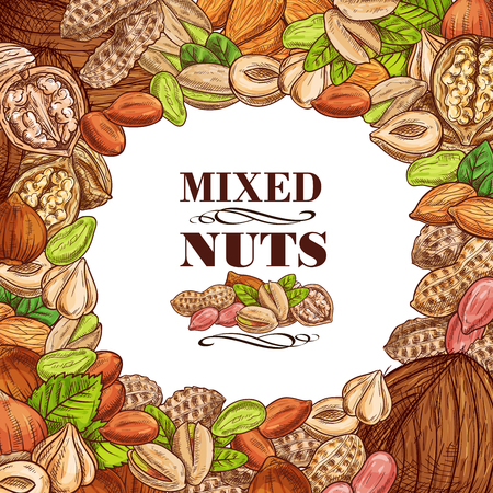 Vector poster of nuts and fruit seedsのイラスト素材