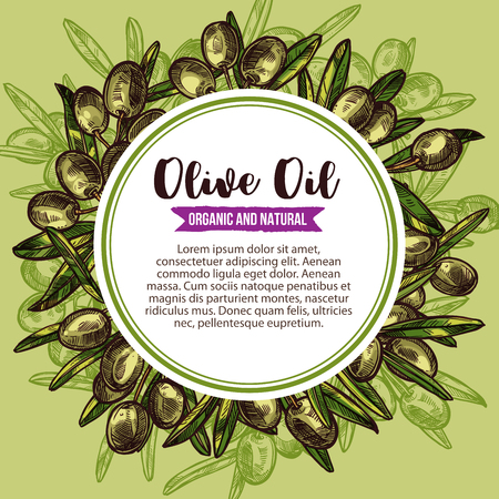 Olive oil label with green branch wreath sketchのイラスト素材