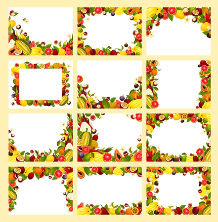 Fruit frame with fresh exotic and tropical berry Vector illustration.のイラスト素材