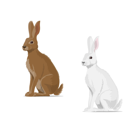 Rabbit hare vector animal flat iconのイラスト素材