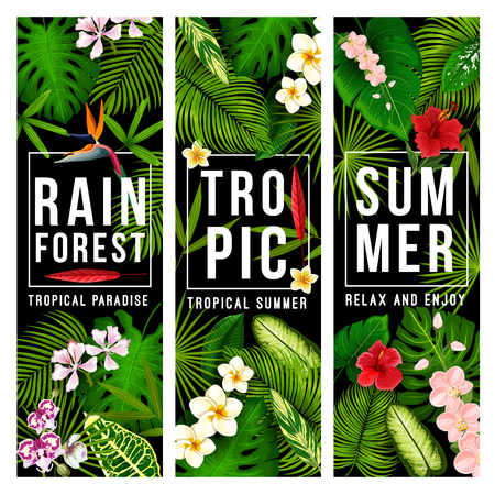 Summer tropical paradise holidays banner with palmのイラスト素材