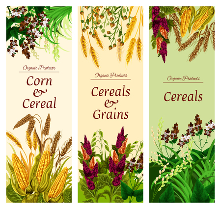 Cereal, grain and vegetable banner of healthy foodのイラスト素材