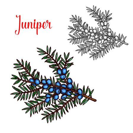 Landscape design and gardening service bannerのイラスト素材