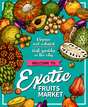 Exotic fruits sketch poster for farm market. Vector design of longkong, tropical soursop apple or mombin and pandan, bergamot fruit, lucuma or tangerine and physalis, naranjilla, and jambolanのイラスト素材