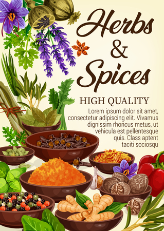 Spices, condiments and seasonings with culinary herbs of grocery store. Vector pepper, garlic and parsley, saffron, nutmeg and cardamom, ginger root, clove and rosemary, lavender and poppy flower seedのイラスト素材