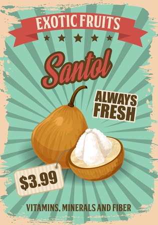 Santol exotic fruit retro poster for tropical food and price. Vegetarian product vintage brochure for market or grocery shop. Food from hot foreign country leaflet, healthy proper nutrition vectorのイラスト素材