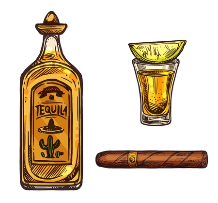 Tequila with lime and cigar sketch icons. Vector Mexican traditional alcohol drink bottle with sombrero cap and cactus and cigarette or Cuban Havana cigarのイラスト素材