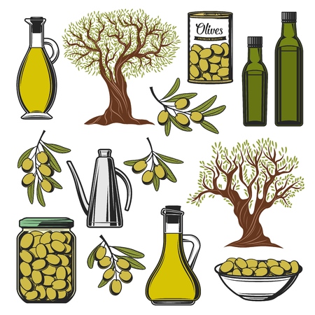 Green olives and olive oil icons. Vector extra virgin olive oil bottle, marinated pickles in glass jar and can, natural organic olives food, premium quality food package symbolsのイラスト素材