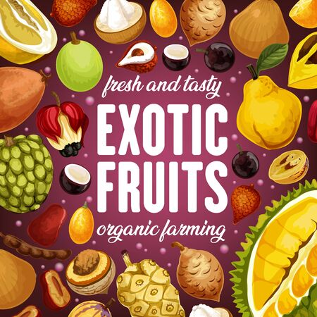 Exotic fruits harvest of durian, tamarind and cherimoya, ackee apple and quince pear. Vector juicy citrus pomelo, kumquat and tropic santol, jabuticaba fruits and tropical ambarellaのイラスト素材