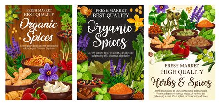 Spices and green herbs vector poster of organic vegetable seasonings. Chilli pepper, vanilla and cinnamon, ginger, garlic and parsley, rosemary, thyme and anise, olives, basil and bay leaf condimentsのイラスト素材