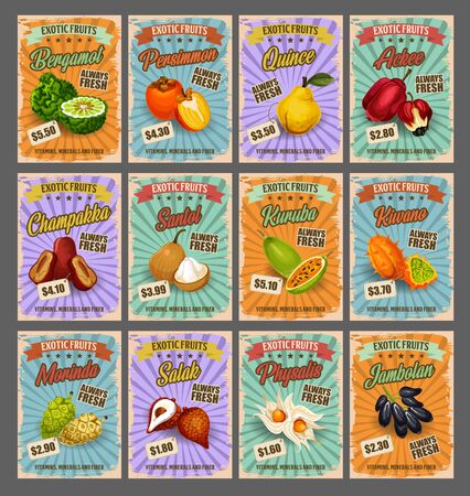 Exotic tropical fruits retro price cards, farm market. Vector bergamot and persimmon, quince and ackee, chambakka and santol, kuruba and kivano. Morinda and salak, physalis and jambolan exotic fruitのイラスト素材