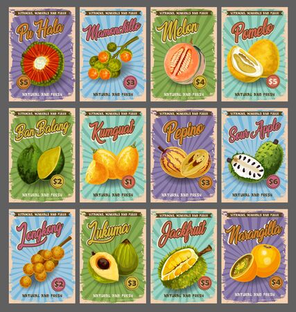 Tropical fruits market price cards, farm market of fruit. Vector pu hala, mamonchillo or melon and pomelo, exotic ban balang, kumquat or pepino and sour apple with longkong, jackfruit, sow appleのイラスト素材