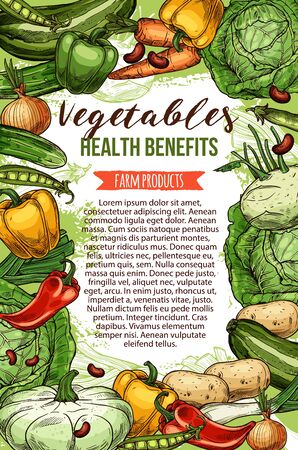 Vegetables and farm products, vector sketch. Healthy veggies food, cabbage and carrot, beans and onion, zucchini squash. Health benefits of vegetarian food, pea and green leekのイラスト素材