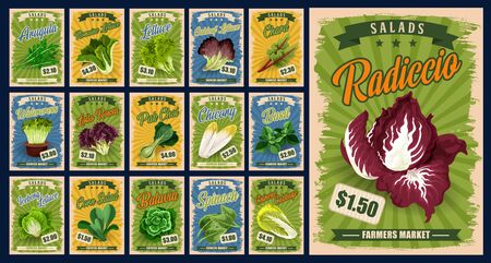 Salad greens and leaf vegetables vector design with organic farm food. Lettuce, spinach and chinese cabbage, basil, arugula and bok choy, chard, radicchio and corn salad, watercress and bataviaのイラスト素材