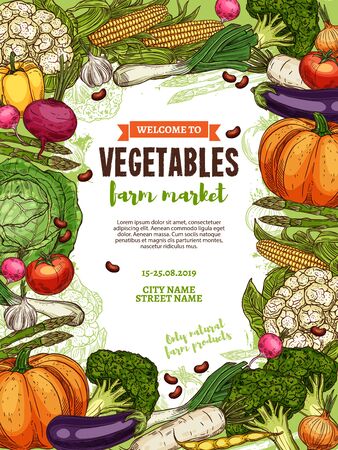Vegetables of farm food market. Vector poster with frame of tomato, cabbage and pepper, broccoli, onion and garlic, eggplant, beans and radish, cauliflower, corn and pumpkin, asparagus, leek sketchesのイラスト素材