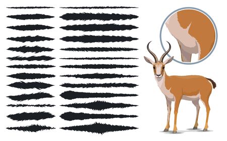 Animal fur brush strokes, design elements texture set. Vector templates of thin and thick fur texture paint brush strokes with rough edges pattern, design presetsのイラスト素材