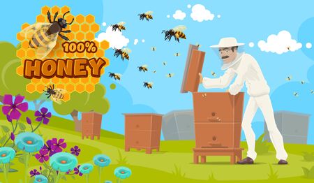 Natural honey production, beekeeping and beekeeper at apiary. Vector apiculture food poster, beekeeper man in uniform and mask extracting honey from beehive, bees on honeycomb and flowersのイラスト素材