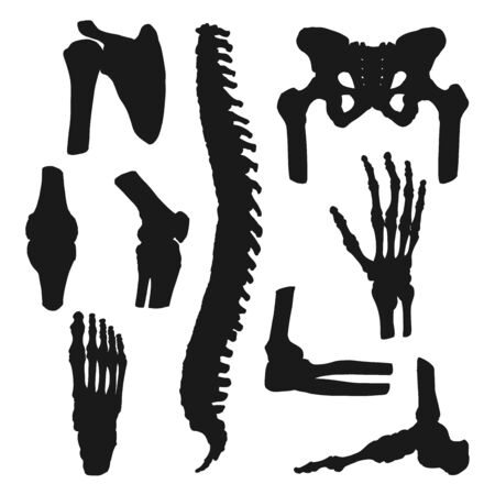 Human joins and bones icons, anatomy and orthopedic medicine symbols. Vector joints of hands and legs or foot, spine and pelvis or shoulder and neck bones, arthritis and pain medical treatmentのイラスト素材