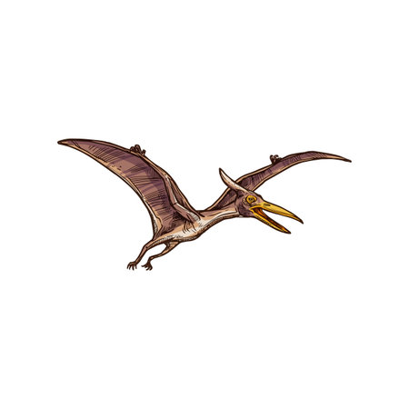 プテラノドン の写真素材 イメージマート