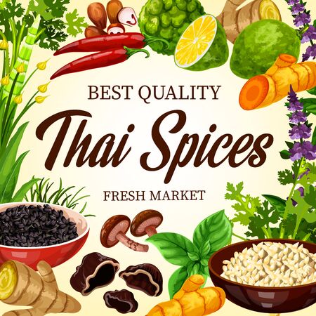 Thai cooking spices, herbs and Asian cuisine herbal seasonings, farm market poster. Thai food flavorings, lemongrass and green peppercorn, basil and parsley herbs, chili pepper, curry and garlic spiceのイラスト素材