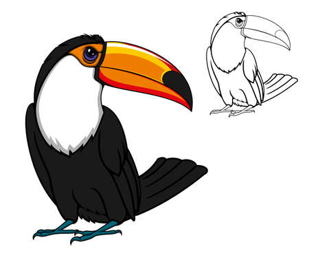 Cartoon toucan bird and outline vector silhouette. Exotic tropical bird mascot for sport club, for kids and zooのイラスト素材