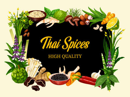 Thai spices and herbs, cooking herbal seasonings and culinary condiments. Asian lemongrass, kaffir lime and chili pepper, shiitake and enoki mushrooms, garlic, horseradish and basil spices. Vectorのイラスト素材