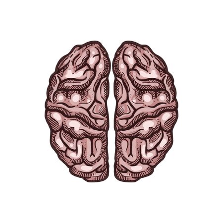 Human brains isolated mental organ right and left part hand drawn sketch. Vector central organ of human nervous system, with spinal cord makes up central nervous system. Memory and intelligence symbolのイラスト素材
