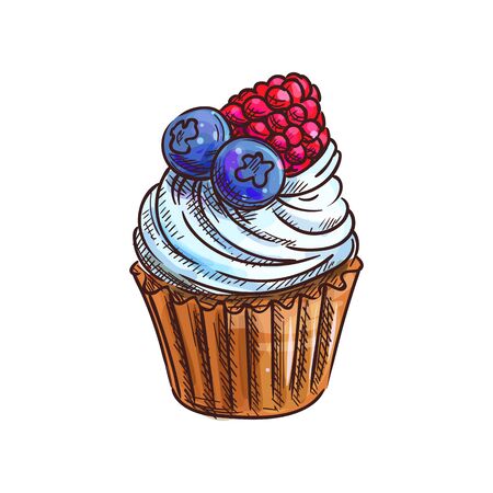 Muffin with blueberries and raspberry isolated cupcake sketch. Vector cake sweet dessert foodのイラスト素材