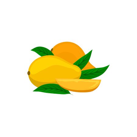 Mango exotic food dessert and green leaf isolated. Vector tropical stone fruit whole and cutのイラスト素材