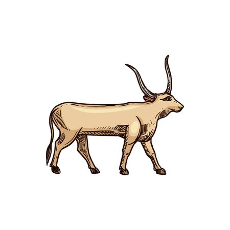 Ancient Egypt worshiped Apis bull isolated horned divinity of Egypt. Vector Hapi-ankhのイラスト素材