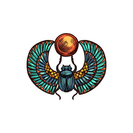 Egyptian scarab isolated winged beetle with sun. Vector sketch of scarabeus, sacred symbol of god Raのイラスト素材