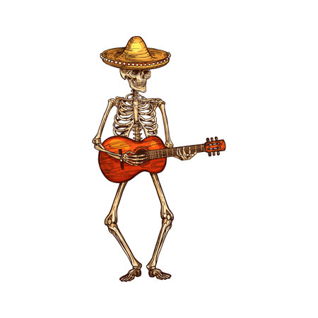 Human skeleton in sombrero hat playing on guitar.のイラスト素材