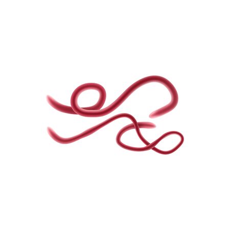 Oblong bacterium, worms in human body isolated viruses.のイラスト素材