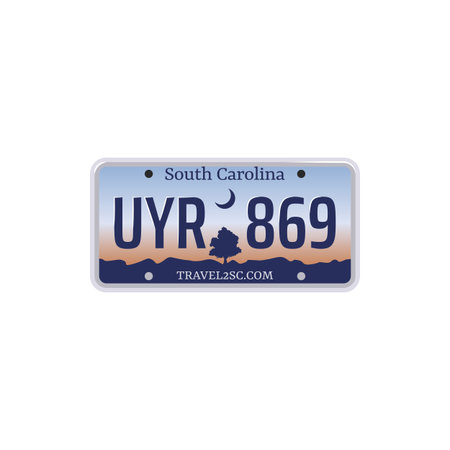 Vehicle registration number plate of American states and city. Vector set of car license number plateのイラスト素材