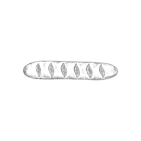 French baguette isolated oblong shape bun sketch. Vector bakery product, wheat bread, pastry foodのイラスト素材