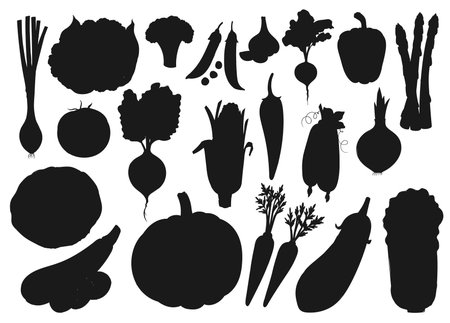 Vegetables and farm veggies, vector silhouette icons. Organic vegetarian food cabbage, pumpkin, tomato and cucumber, cauliflower and broccoli, onion and garlic, asparagus and beetrootのイラスト素材