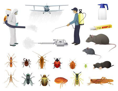 Disinfection, pest control, vector men in protective suits and airplane spraying pesticides against insects. Isolated bug, flea and cockroach, ant, tick and wasp extermination. Cold fogger with smokeのイラスト素材
