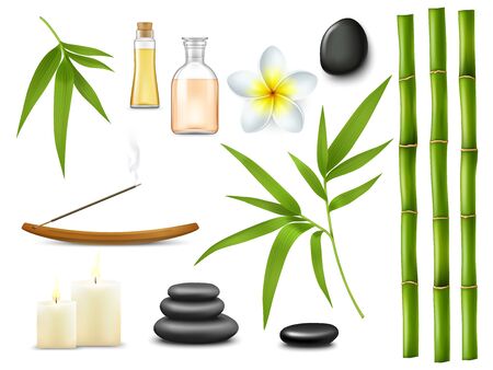 Spa and massage salon relax treatments. Isolated vector aromatherapy oil, realistic bamboo sticks and leaves, frangipani flower. Stones pile and burning candles, wellness spa therapy massageのイラスト素材